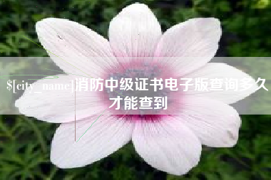 和田消防中级证书电子版查询多久才能查到