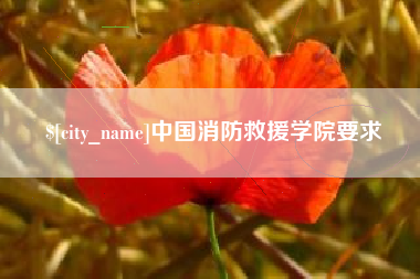 和田中国消防救援学院要求