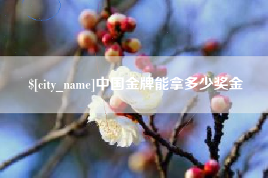 和田中国金牌能拿多少奖金