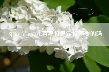 和田九宫星位是定位不变的吗