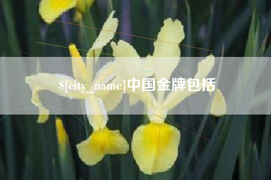 和田中国金牌包括