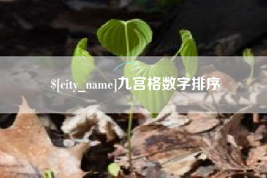 和田九宫格数字排序