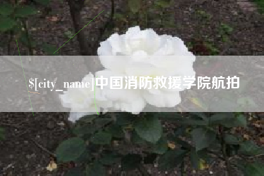 和田中国消防救援学院航拍