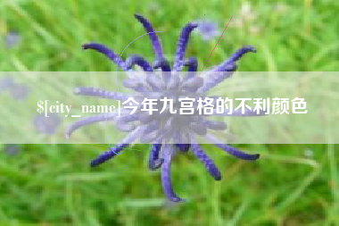 和田今年九宫格的不利颜色