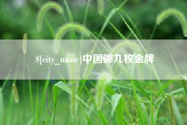 和田中国哪九枚金牌