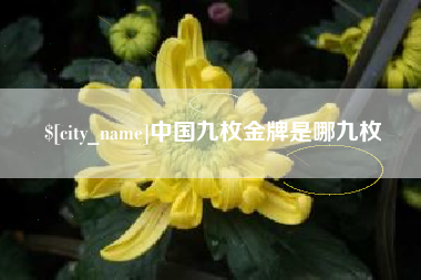和田中国九枚金牌是哪九枚