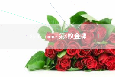 和田第9枚金牌