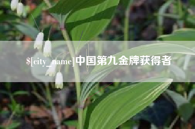 和田中国第九金牌获得者