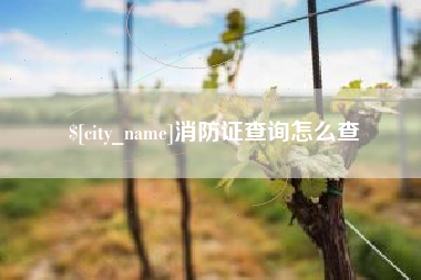 和田消防证查询怎么查
