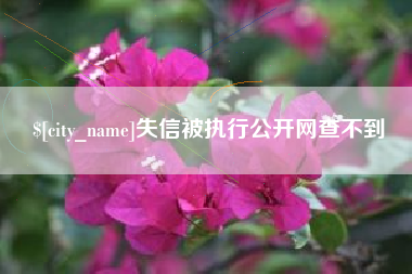 和田失信被执行公开网查不到