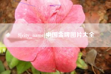 和田中国金牌图片大全