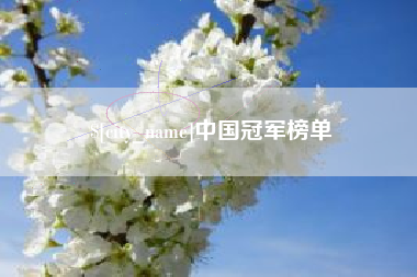 和田中国冠军榜单