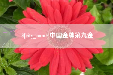 和田中国金牌第九金