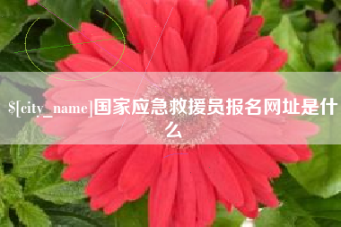 和田国家应急救援员报名网址是什么