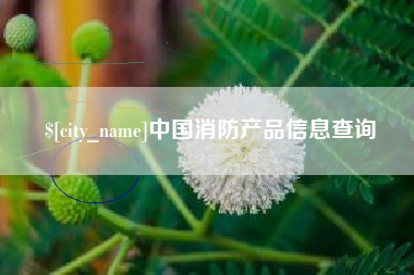 和田中国消防产品信息查询