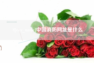 和田中国消防网址是什么