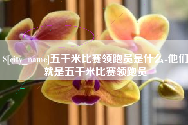 和田五千米比赛领跑员是什么-他们就是五千米比赛领跑员