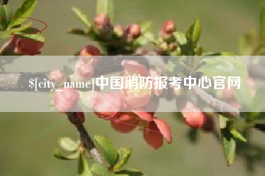 和田中国消防报考中心官网