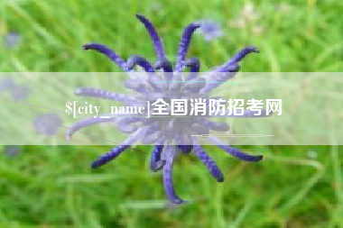 和田全国消防招考网