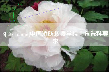 和田中国消防救援学院山东选科要求