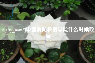 和田中国消防救援学院什么时候政审