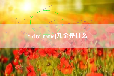 和田九金是什么