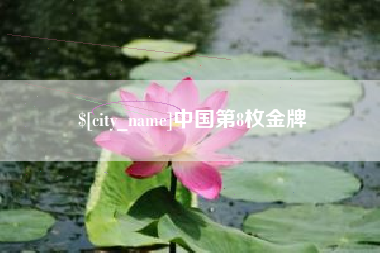 和田中国第8枚金牌