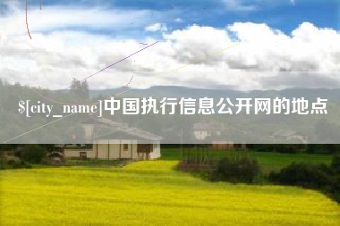 和田中国执行信息公开网的地点