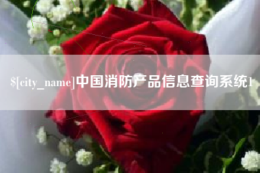 和田中国消防产品信息查询系统1