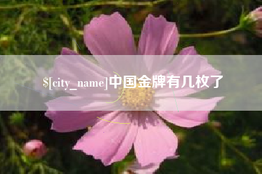 和田中国金牌有几枚了
