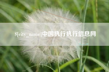 和田中国执行执行信息网