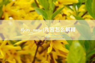 和田九宫怎么解释