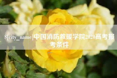 和田中国消防救援学院2020高考报考条件