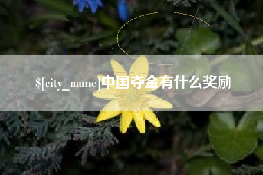 和田中国夺金有什么奖励