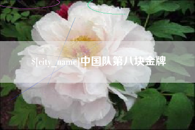 和田中国队第八块金牌