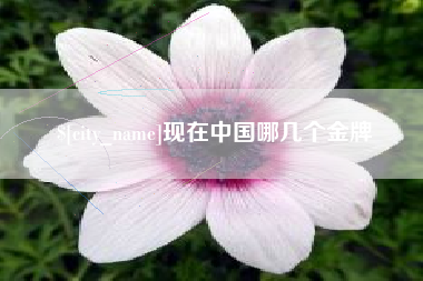 和田现在中国哪几个金牌