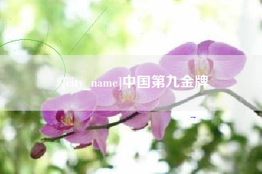 和田中国第九金牌