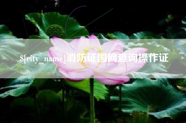和田消防证国网查询操作证