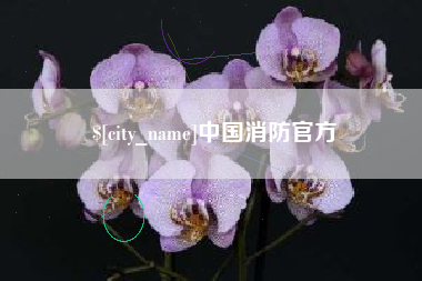 和田中国消防官方