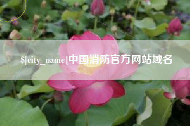 和田中国消防官方网站域名
