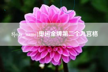 和田奥运金牌第二个九宫格