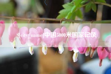 和田中国5000米国家记录