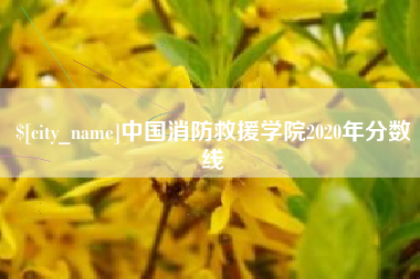 和田中国消防救援学院2020年分数线