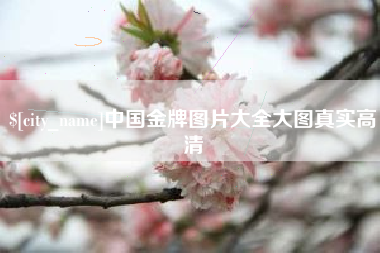 和田中国金牌图片大全大图真实高清