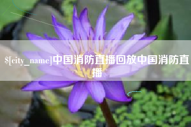 和田中国消防直播回放中国消防直播