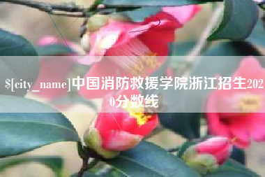 和田中国消防救援学院浙江招生2020分数线