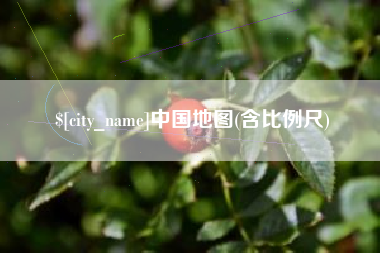 和田中国地图(含比例尺)