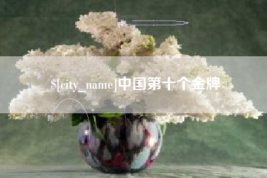 和田中国第十个金牌