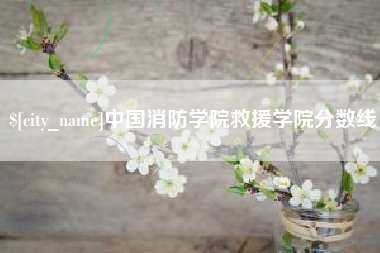 和田中国消防学院救援学院分数线