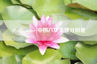 和田中国六块金牌分别是